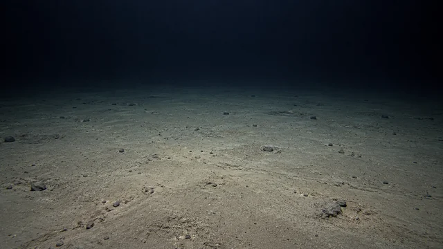 水深4000m前後の堆積物に覆われた平坦な海底を想定した再構成