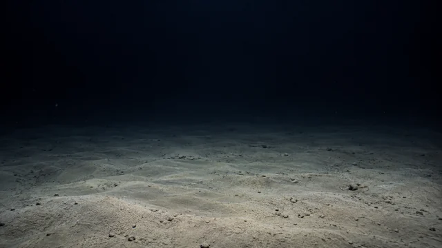 探査機の照明で浮かび上がる、チャレンジャー海淵の泥質海底を想定した再構成